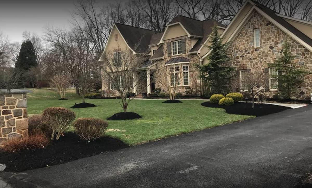 Healthy tall fescue lawn maintained by Green Diamond Landscaping in Baltimore County, MD
