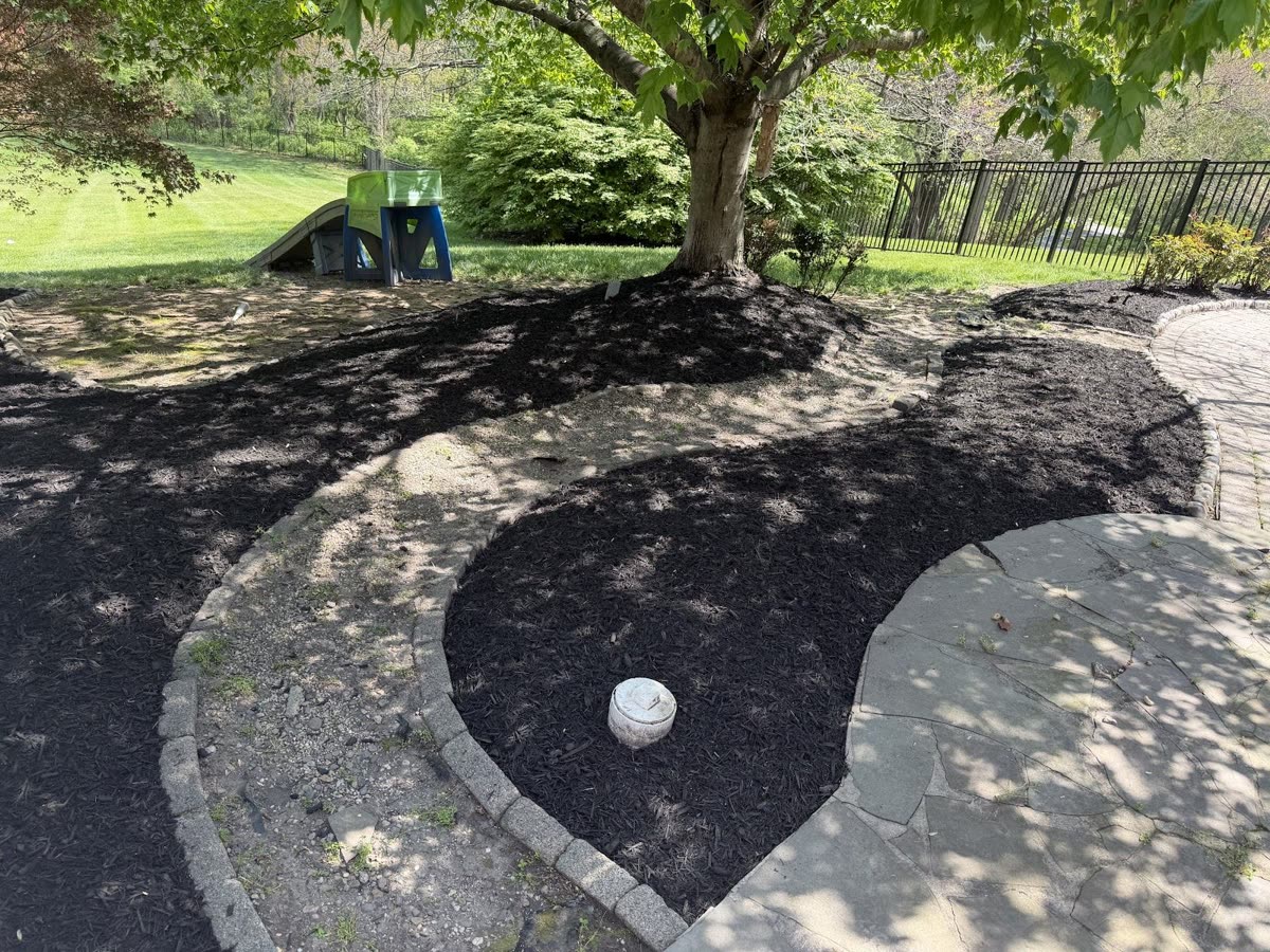 Paver walkway with clean stone edging maintained by Green Diamond