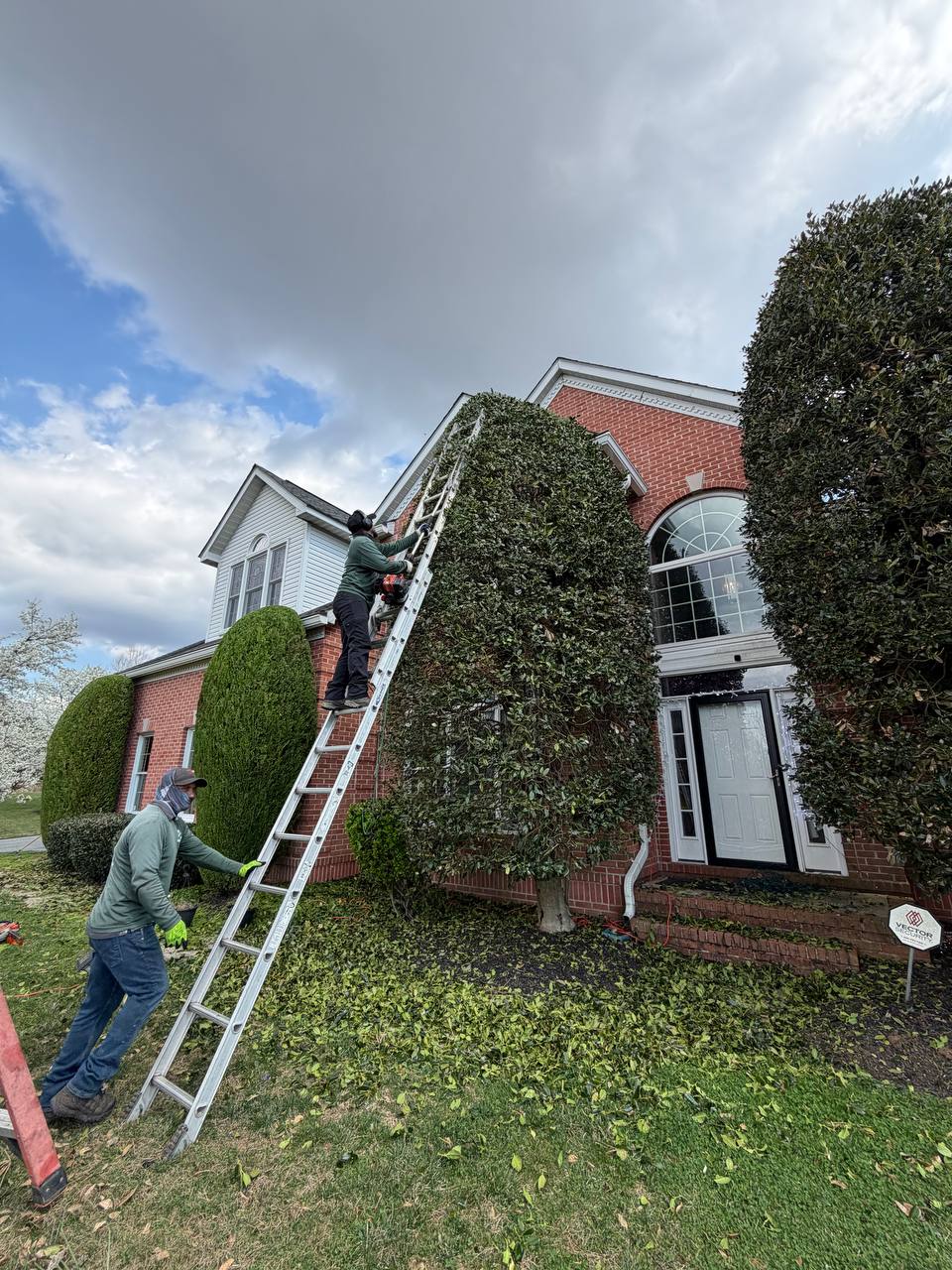Crew trimming hedges outside a brick colonial home — Green Diamond landscaping service in Baltimore County